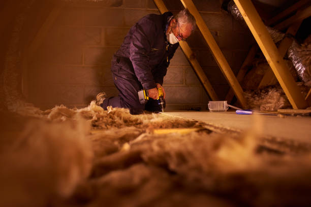 Best Eco-Friendly Insulation in Andrews, NC